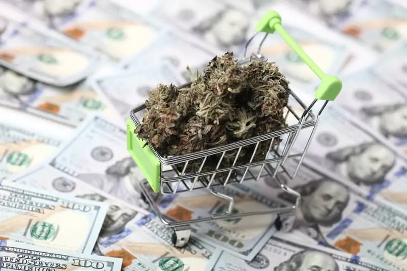a small shopping cart with weed in it on top of 100 dollar bills, how to start a weed business