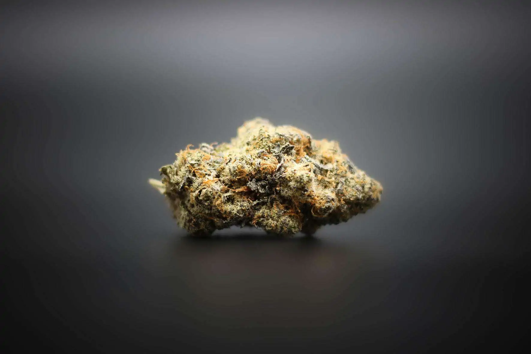 Top 12 Delta 9 Strains to Try
