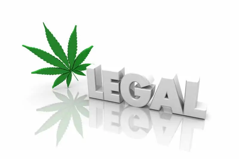 pot leaf next to letters that spell out legal, will Biden legalize marijuana 