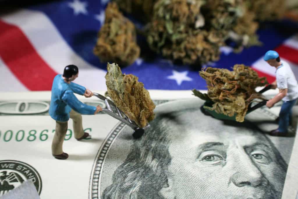 Cannabis-Jobs-and-Salaries