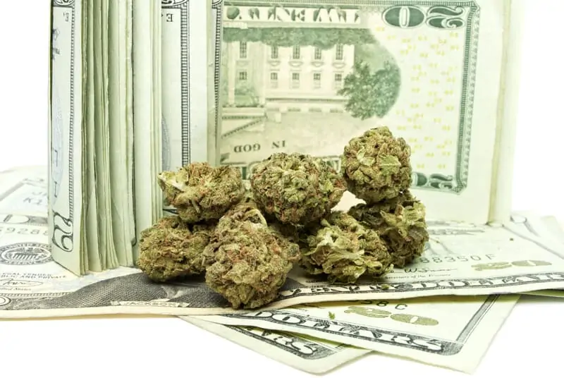 pile of money with cannabis buds, dispensary technician 