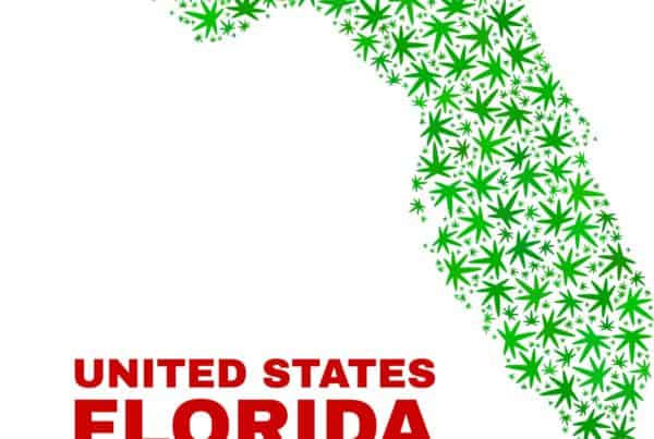 Florida state map with cannabis leaves all over. Florida marijuana college.