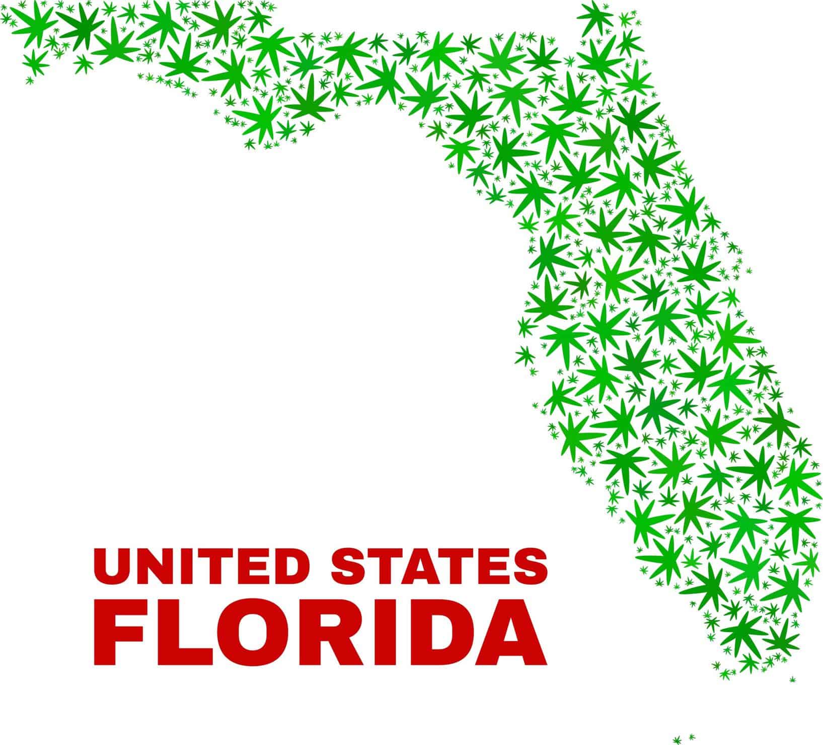 Leading Online Florida Cannabis College
