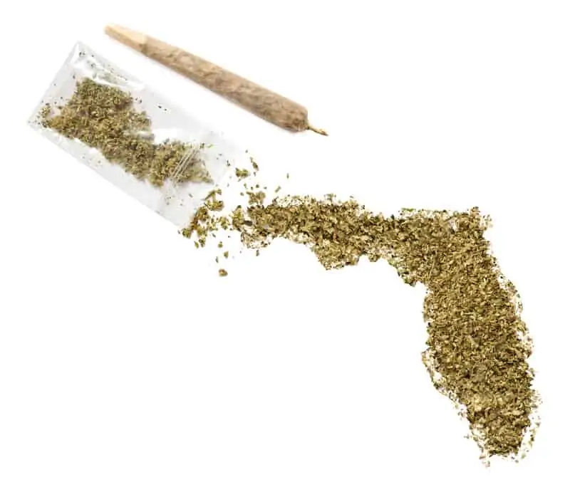 florida marijuana legalization