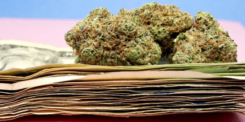 learn how to become a budtender in nevada 1 1