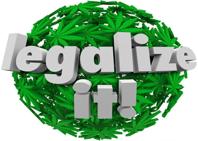legalize it in white, Texas medical marijuana