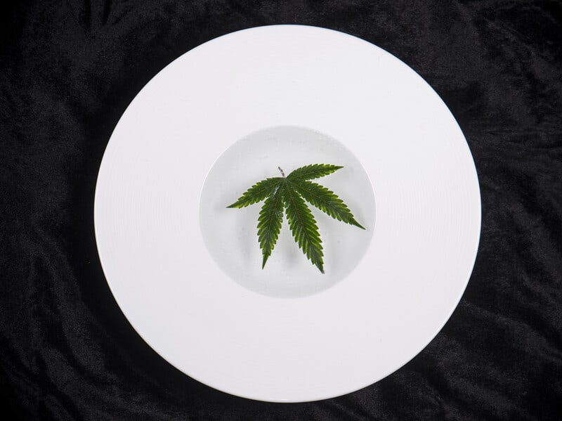 marijuana leaf on plate, marijuana edible recipes