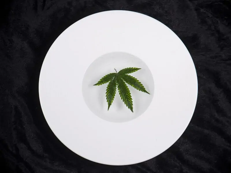 7 Delicious Marijuana Edible Recipes