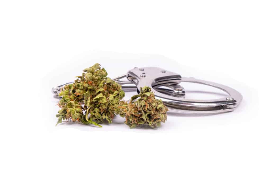 marijuana buds next to handcuffs, marijuana prohibition
