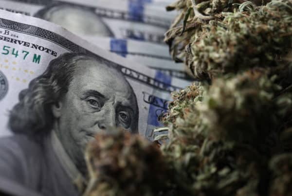 one hundred dollar bills and cannabis buds, cannabis careers