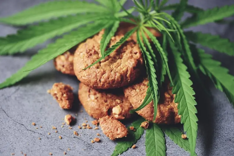 cookies and marijuana leaves, cannabis careers