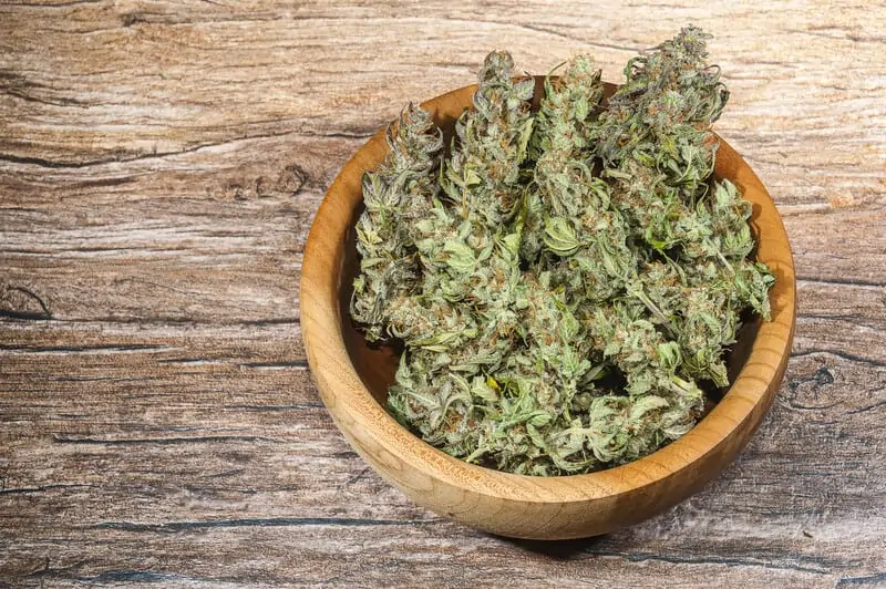 cannabis flower in a bowl, croptober