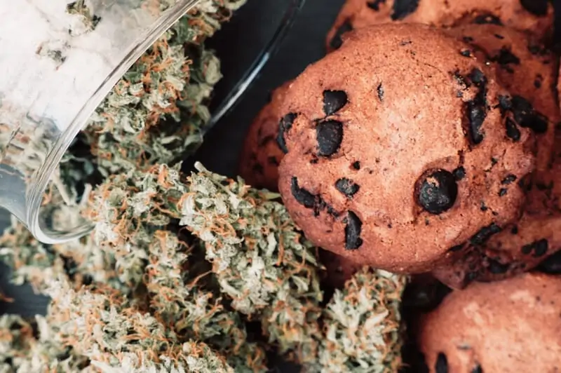 chocolate chip cookies with marijuana buds, marijuana cookie recipe