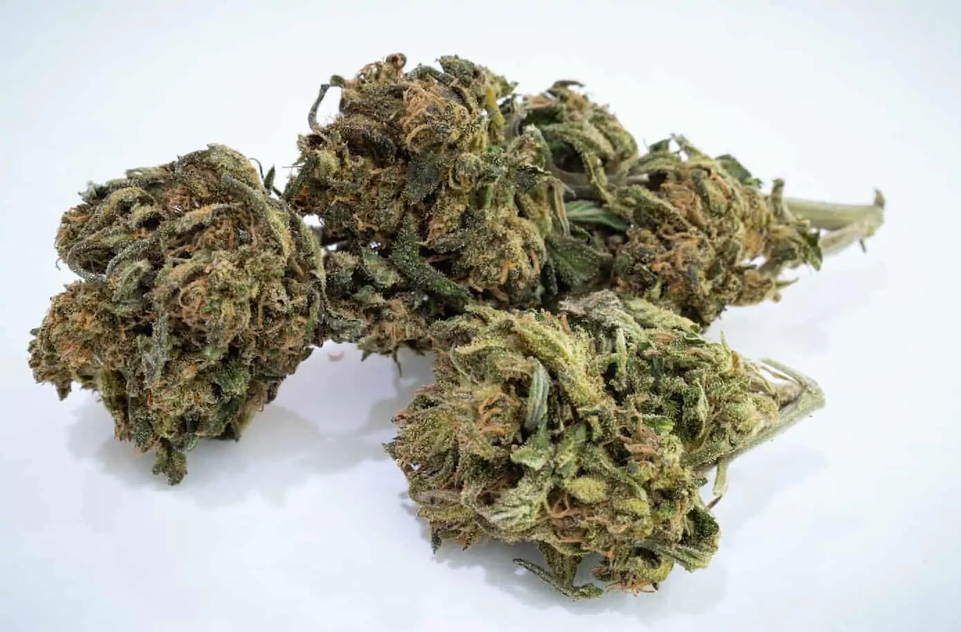 Pink Candy Weed Strain Review & Information