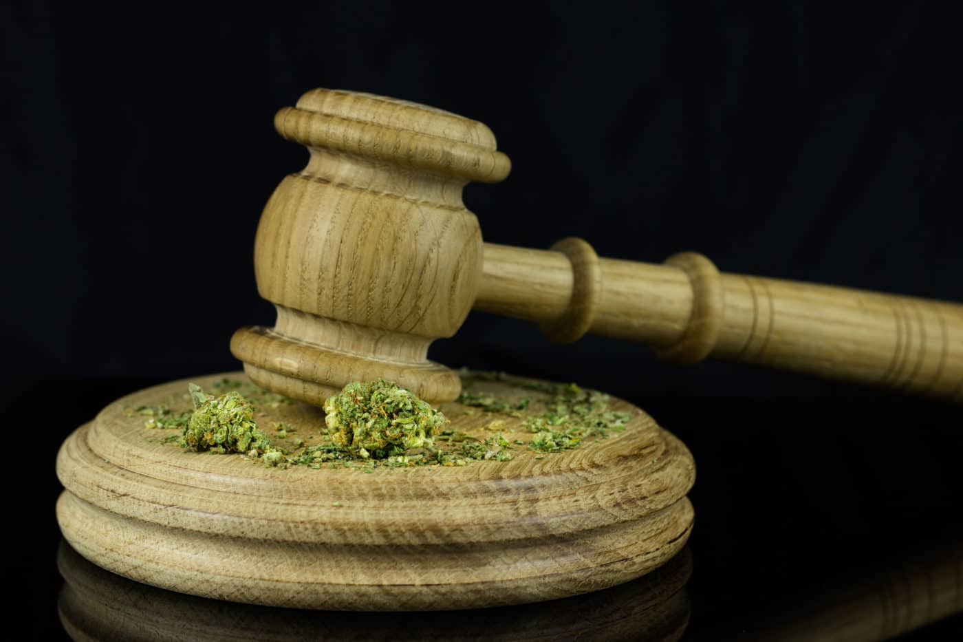 Cannabis Legalization Update – November 2021