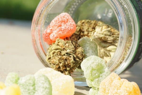 gummies and cananbis buds in a jar, Edibles Mg Potency and Dosage