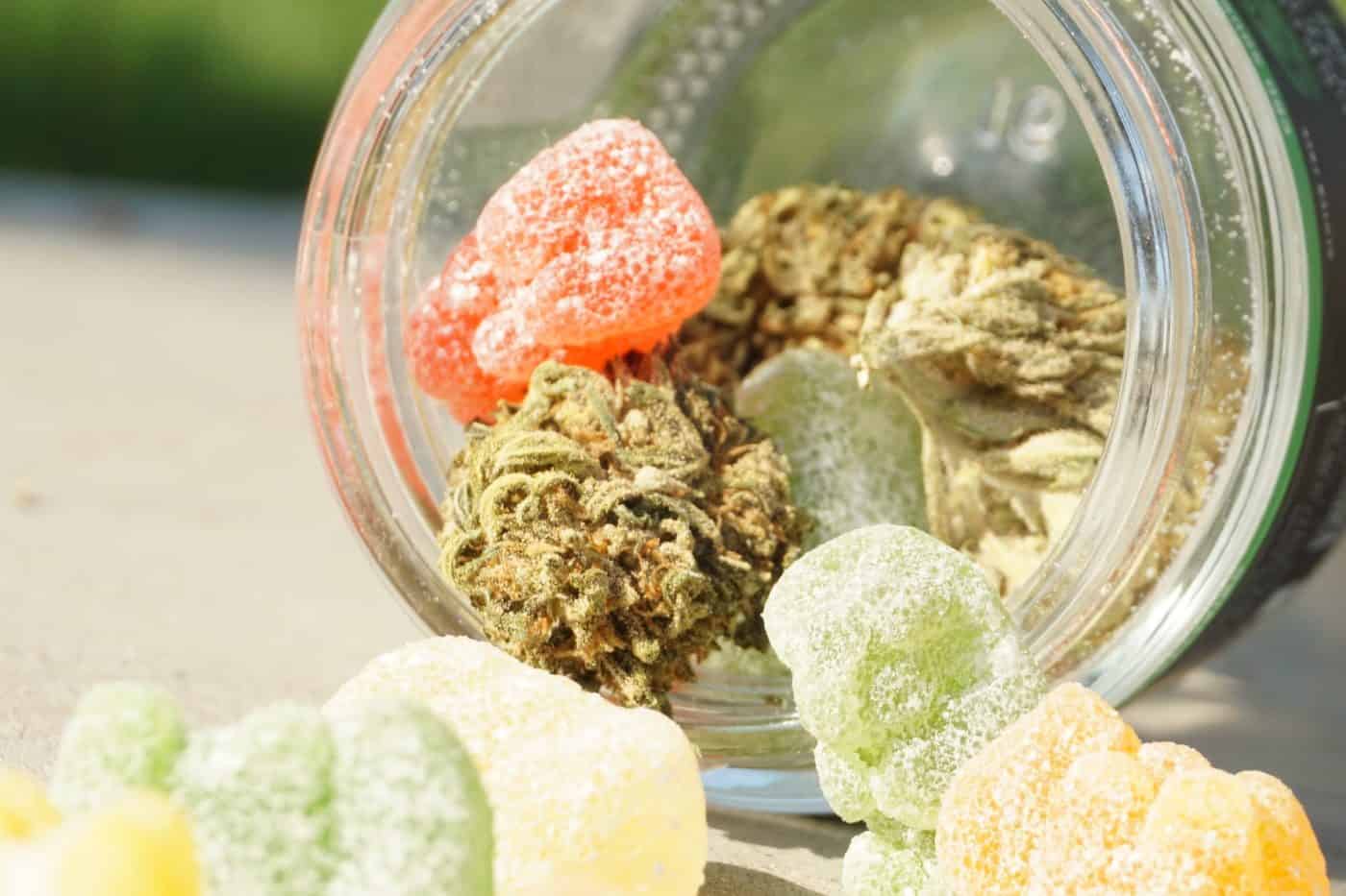 Edibles Mg Potency and Dosage Guide Chart for Beginners