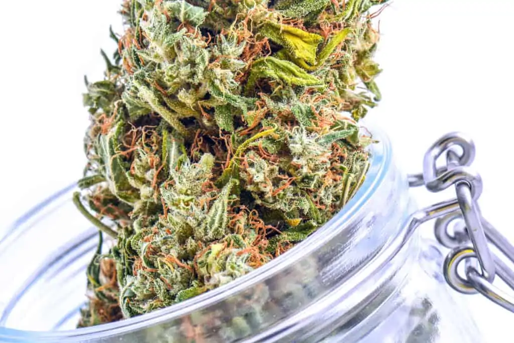 cannabis bud in glass jar, cherry chem weed strain