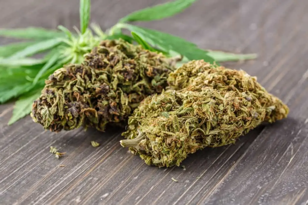 cannabis buds on a wood table, cherry fritter strain