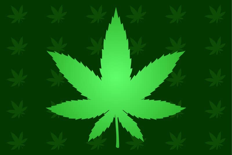 marijuana legalization update 1