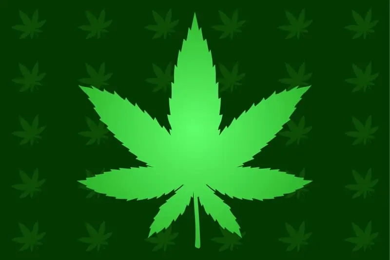 marijuana legalization update 1
