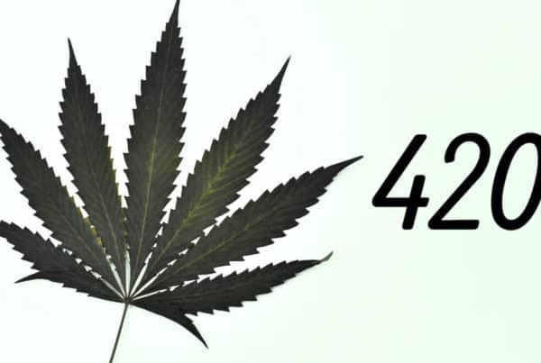 marijuana leaf nad 420 written in green, marijuana marketing