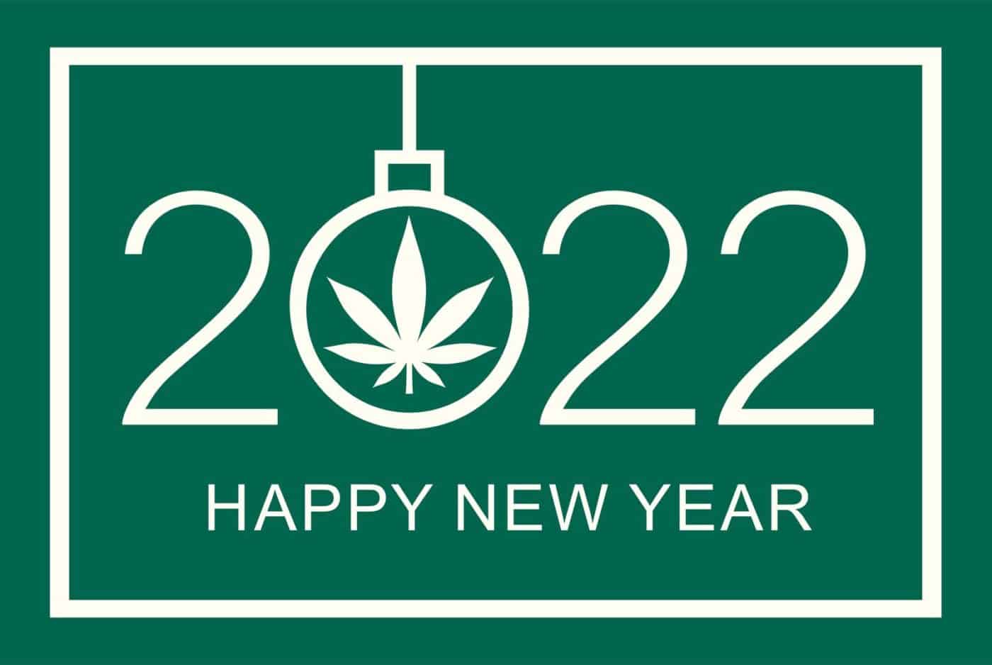 Best Cannabis Training Certifications for the New Year
