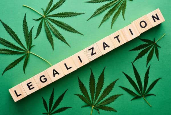 top view of green cannabis leaves and legalization word on wooden blocks, cannabis legalization update - December 2021
