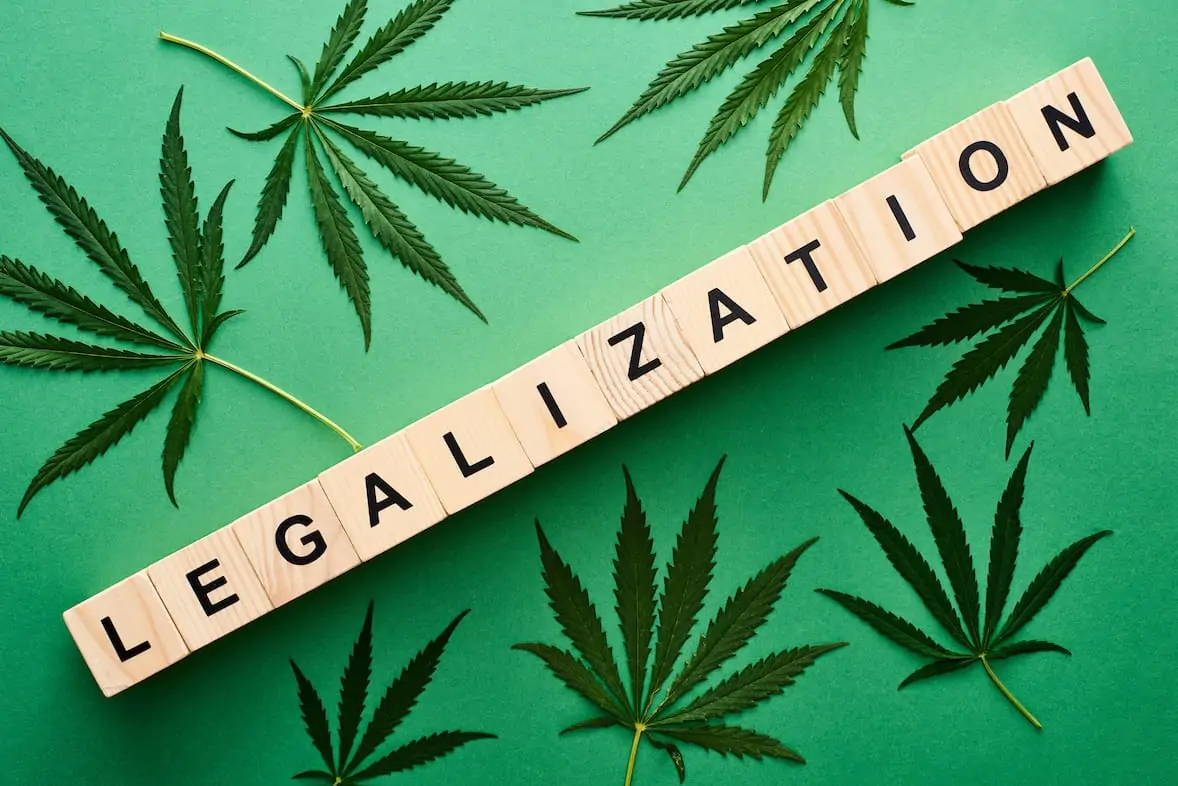 Cannabis Legalization Update – December 2021