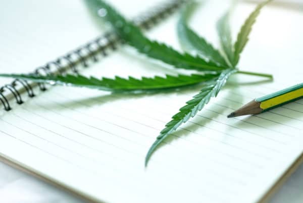 Cannabis Leaf On Book With Pencil, cannabis training university coupons