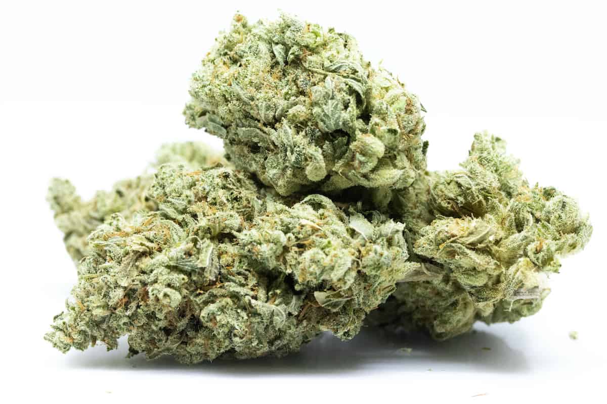 Jelly Breath Weed Strain Review & Information
