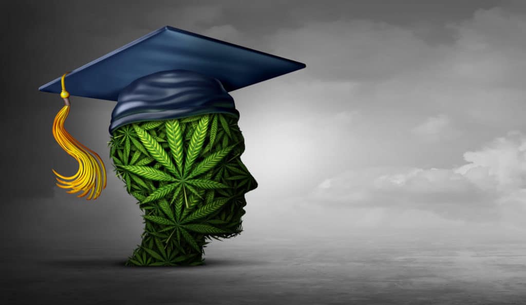 Cannabis College Cannabis Training University 1536x891 1