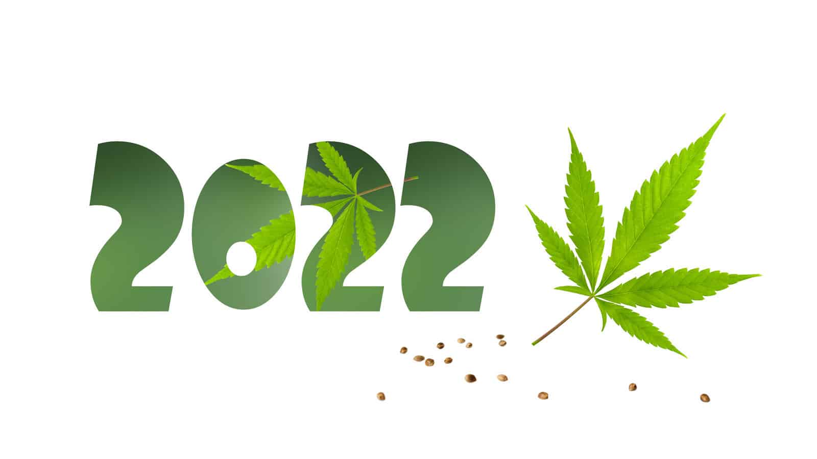 2022 in green with cannabis leaf isolated on white, cannabis industry trends in 2022