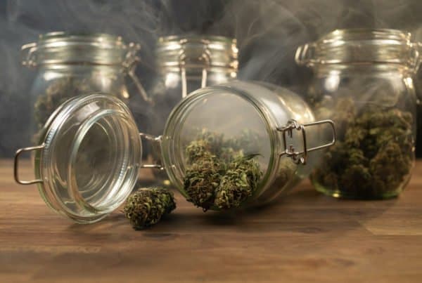 cannabis in glass jars with smoke, freezing marijuana