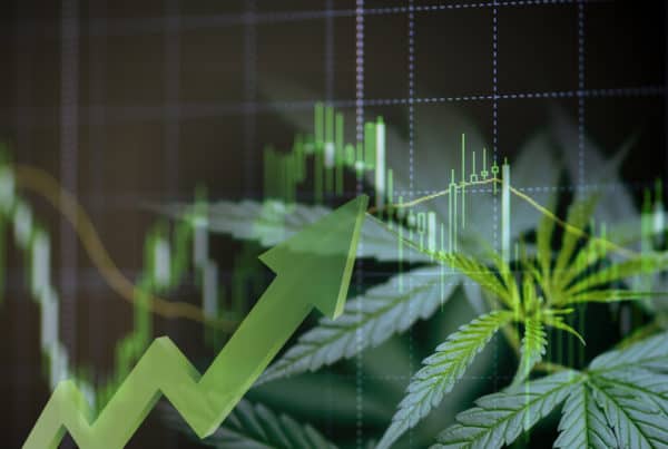 cannabis plants with a stock graph behind them, marijuana penny stocks 2022