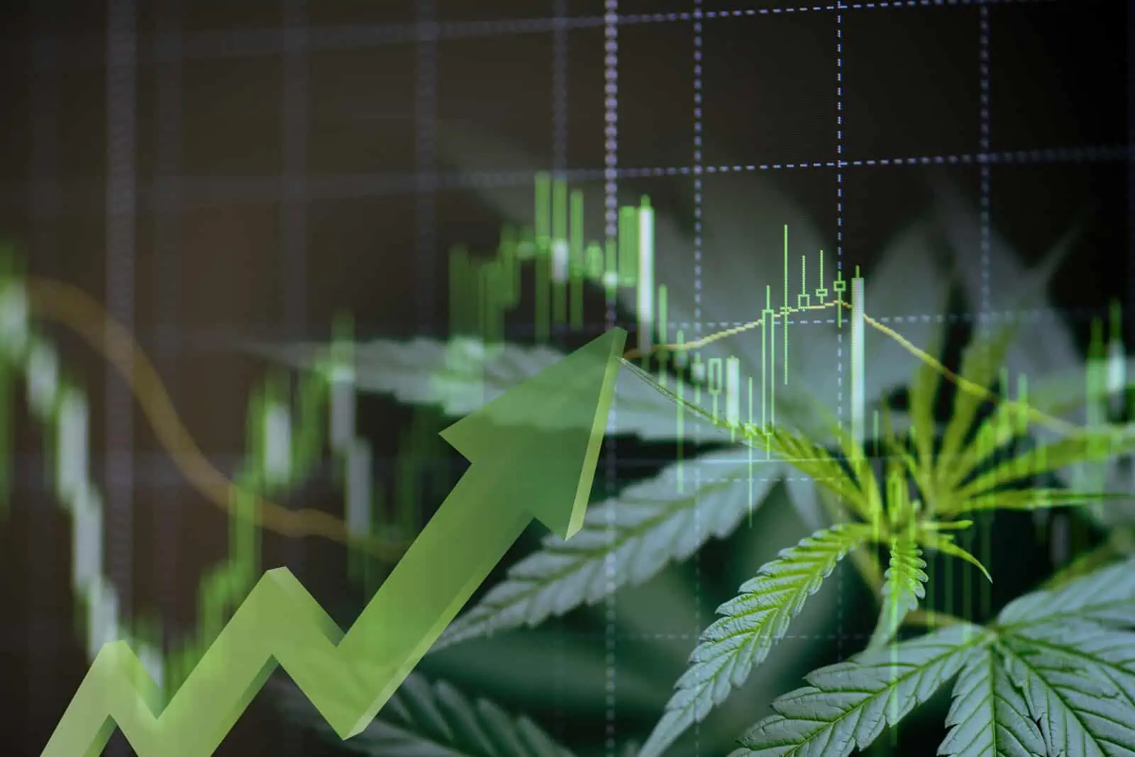 7 Best Marijuana Penny Stocks 2022