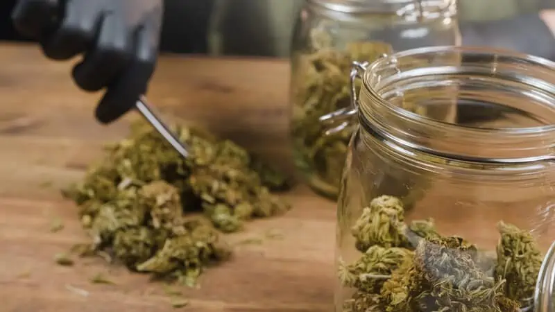 cannabis buds on table and in a glass jar, how to dry cannabis