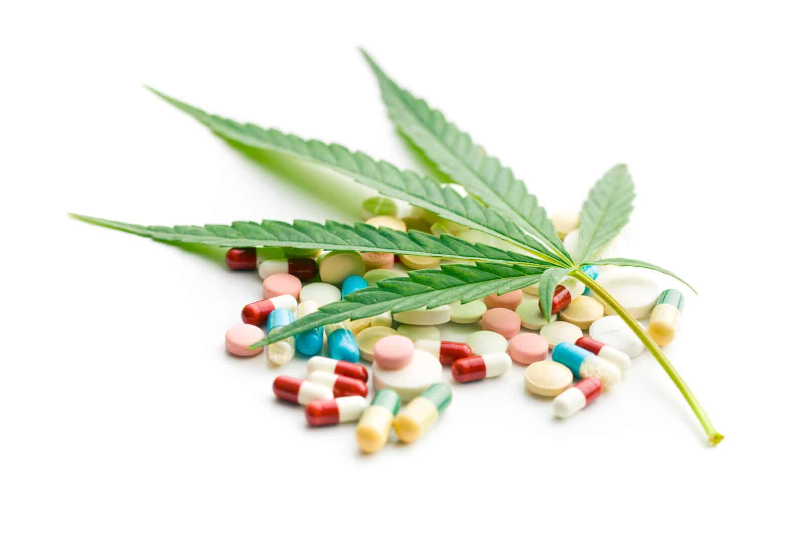 What to Know About Marijuana and Antibiotics