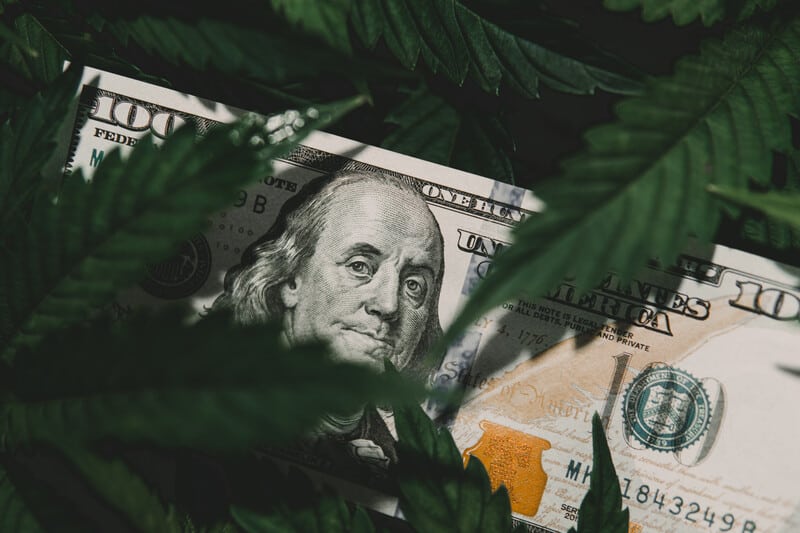 100 dollar bill under green weed leaves, marijuana reform