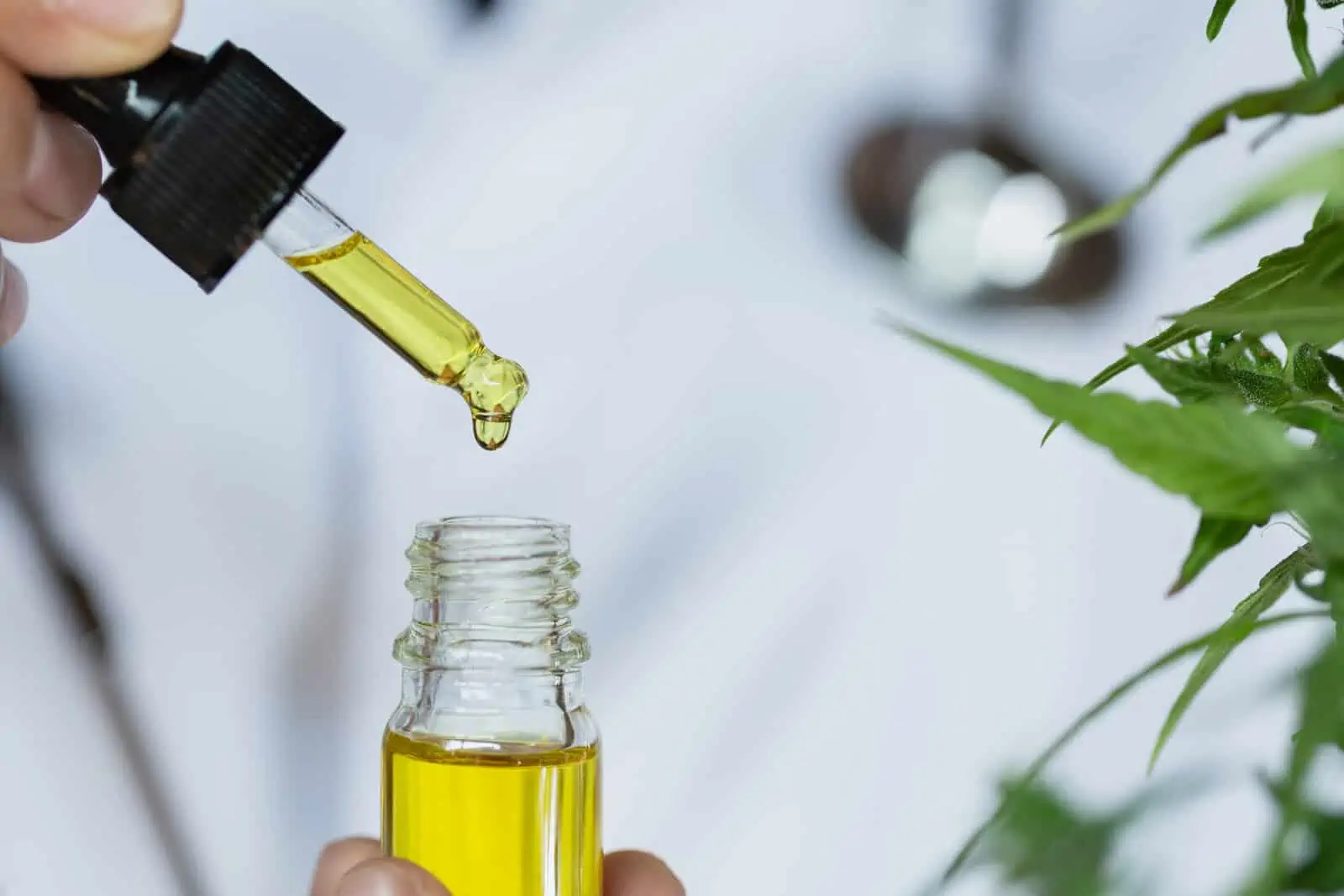 How to Extract CBD From Hemp: Hemp Extraction at Home and in the Lab