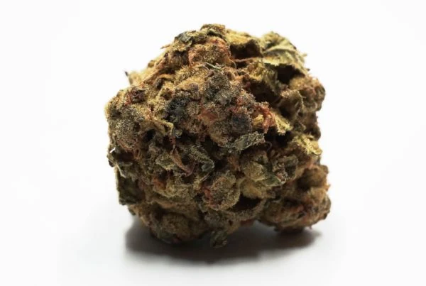 macro of cannabis bud isolated on white, devil's lettuce strain
