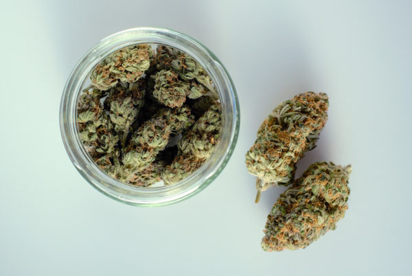 cannabis buds next to a jar of cannabis on white, does marijuana expire