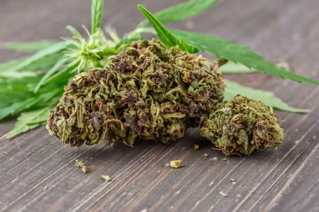 cannabis bud on wood table, kitchen sink strain