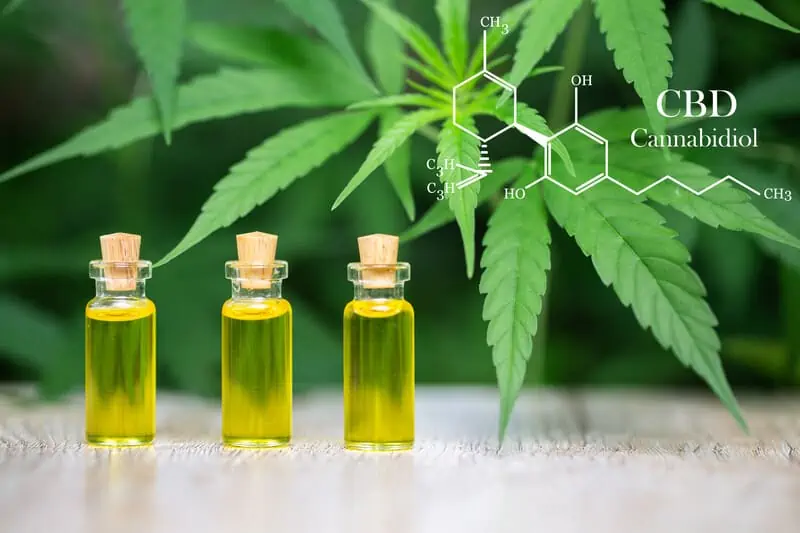 three oil tinctures next to cannabis leaves, entourage effect