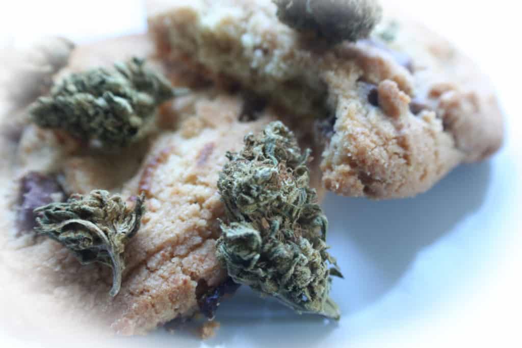 cannabis buds on a cookies, og cookies weed strain