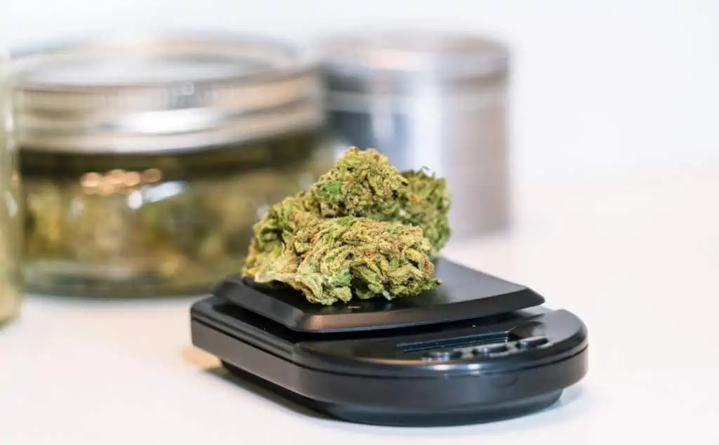 cannabis bud on scale, how many grams in an ounce