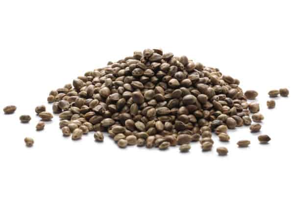 marijauna seeds isolated on white, how much do marijuana seeds cost
