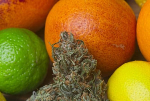 cannabis next to citrus fruits, lime og weed strain