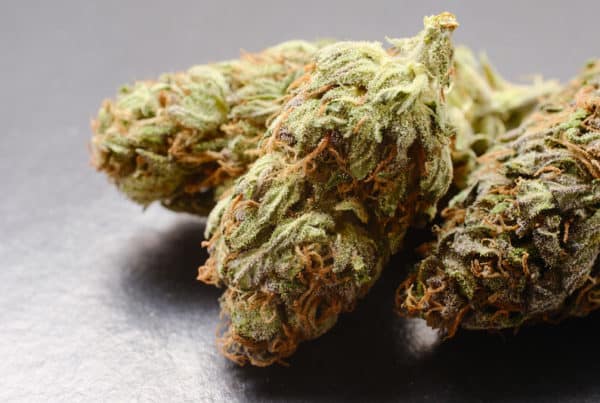 cannabis bud macro, pink starburst weed strain