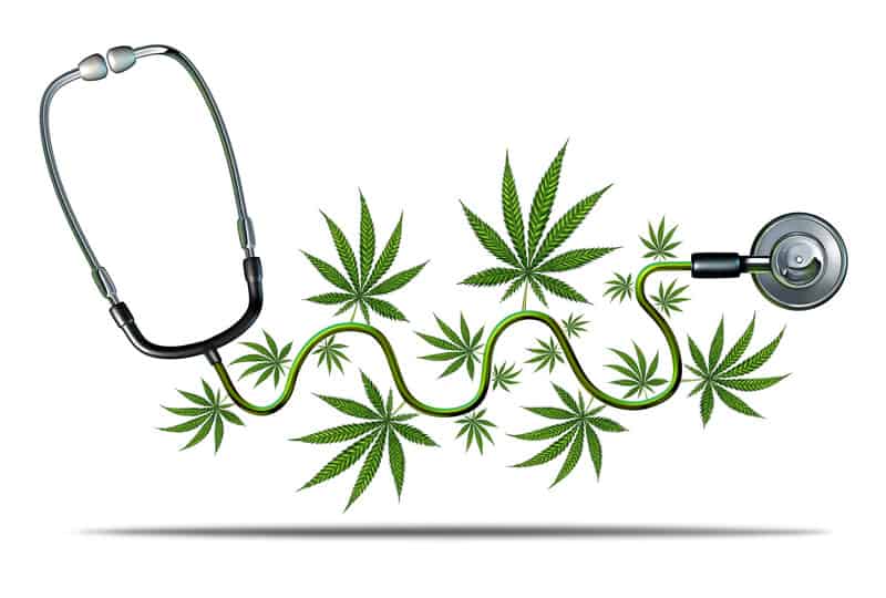 cannabis leaves next to a stethoscope